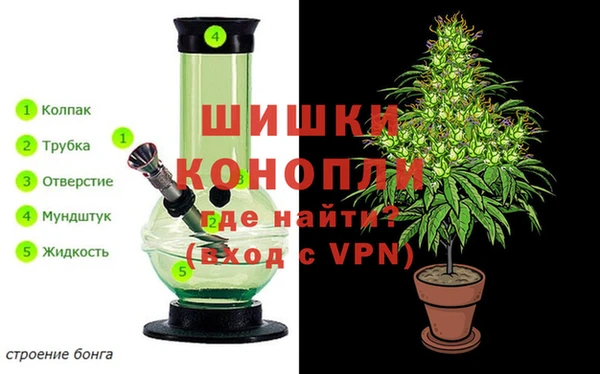 мяу мяу мука Абаза