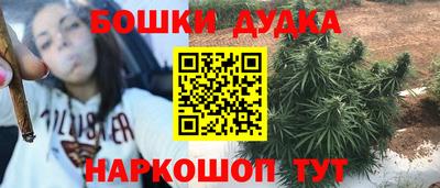 индика Волжский