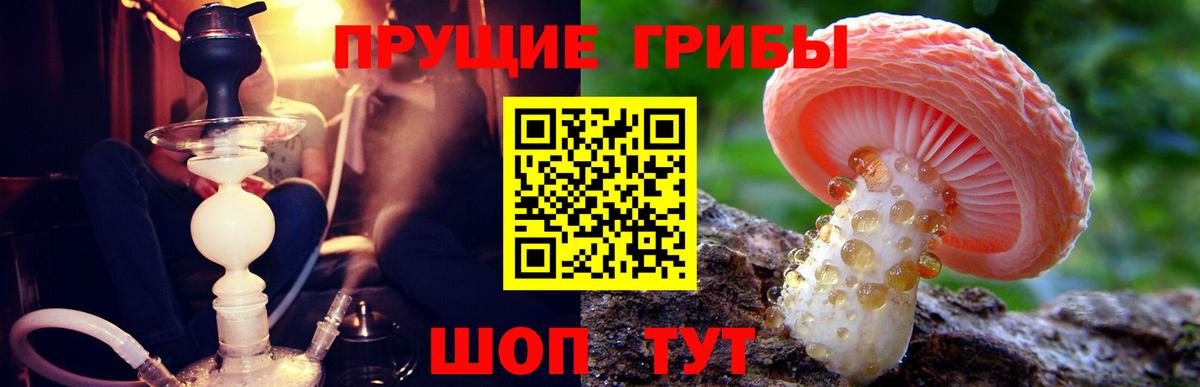 Псилоцибиновые грибы прущие грибы  Галлюциногенные грибы Psilocybe  Вход с VPN  Калининград 